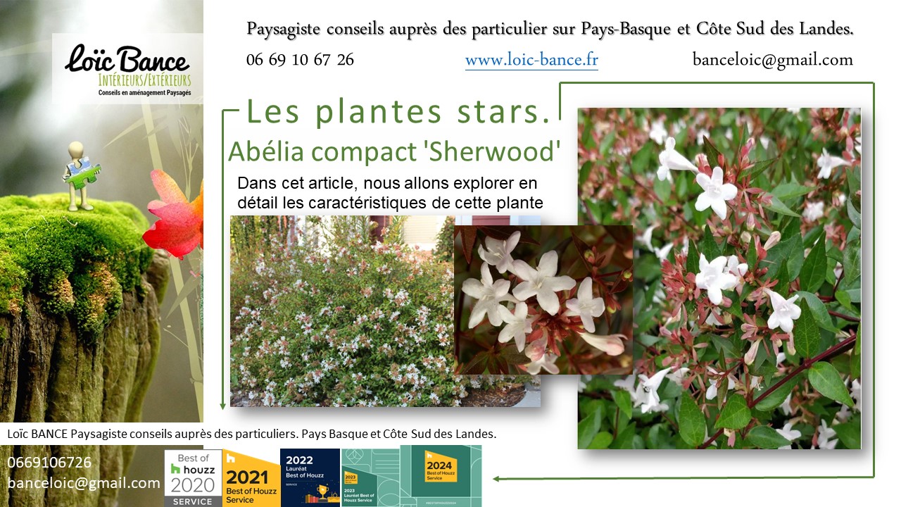 Paysagiste Pays Basque; Paysagiste Landes; Paysagiste conseil; Landes; Ahetze; Anglet; Arbonne; Arcangues; Bayonne; Biarritz; Capbreton; Guthary; Hossegor; 