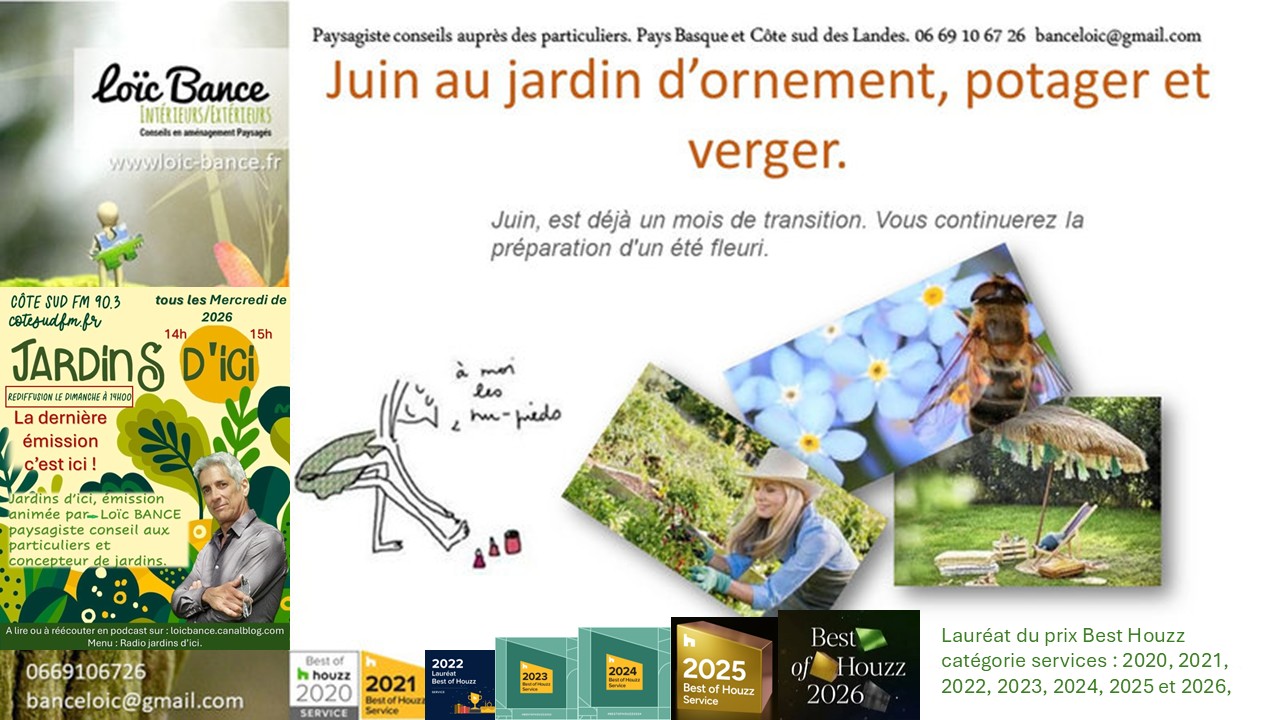 Les travaux de juin 2026 au jardin d'ornement, potager ou fruitier. Hossegor paysages