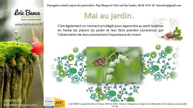 Les travaux du jardin en mai par Paysagist Hossegor
