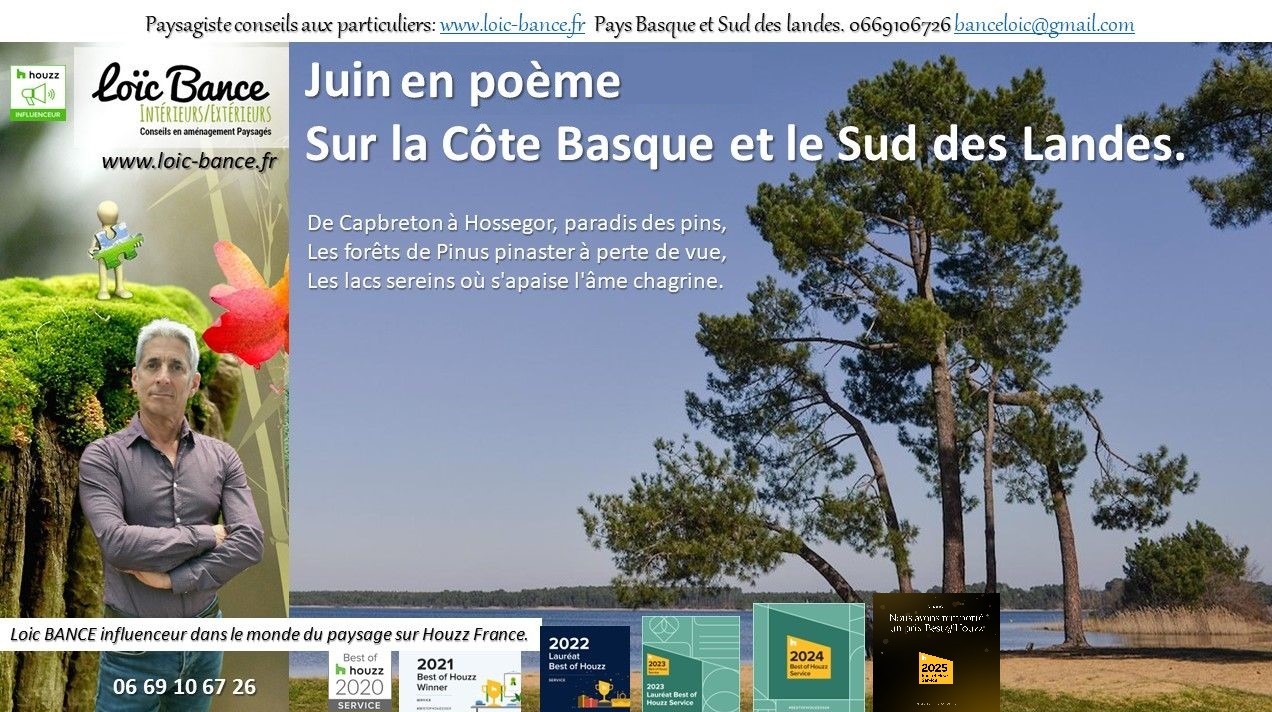 paysages; Landes; Pays Basque; Paysagiste; Paysagiste Landes; Paysagiste Pays Basque; Loc BANCE; Concepteur de jardins; Amnagements paysagers; Paysagiste conseils aux particuliers; Juin; Hossegor; 