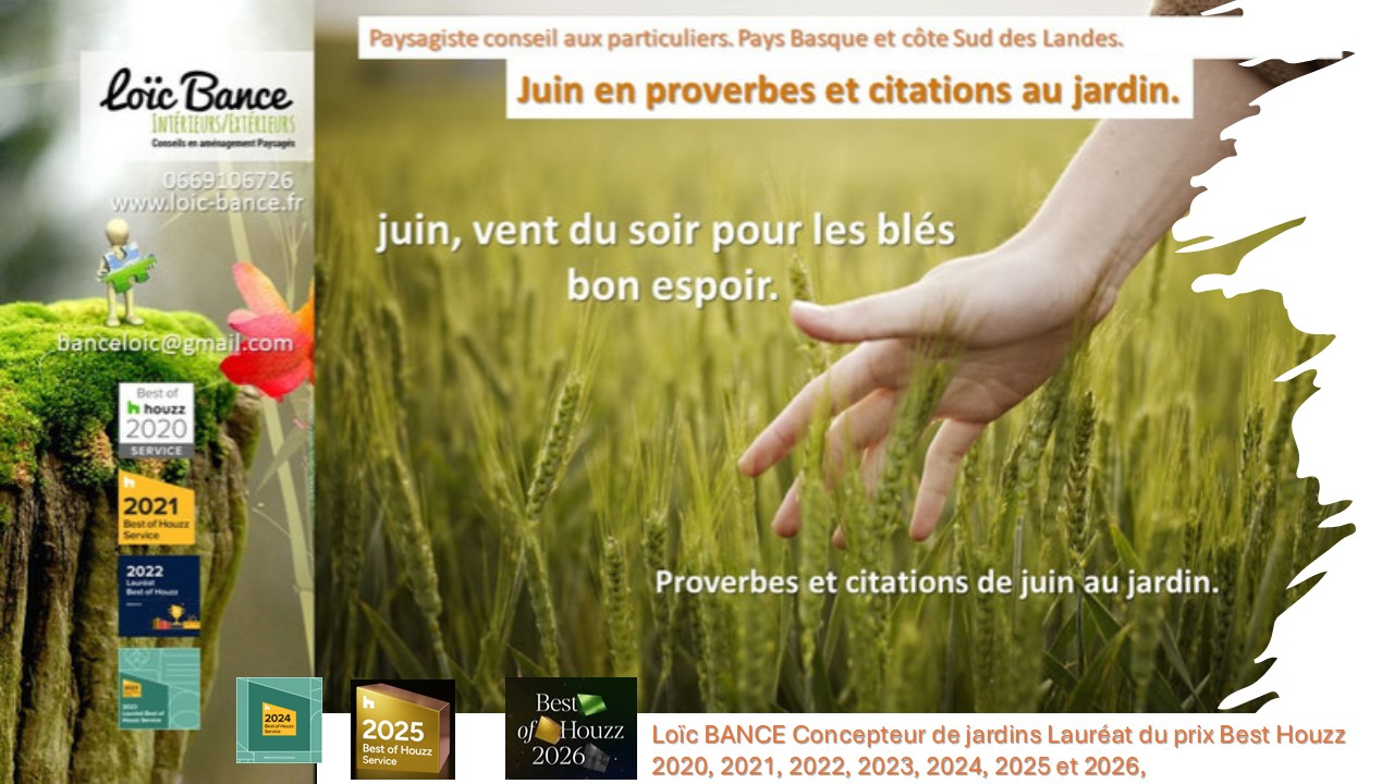 Juin en proverbes et citations. Hossegor paysages